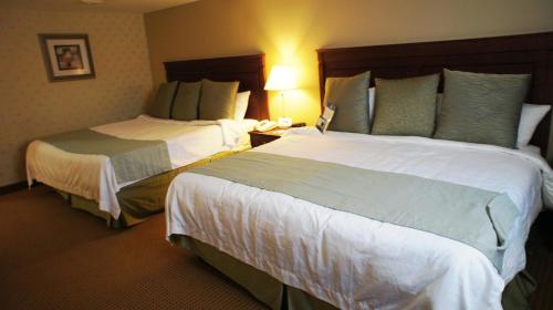 Quality Inn & Suites, Niagara Falls (Foto 6)