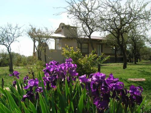 Posada Los Antiguos-Adults Only