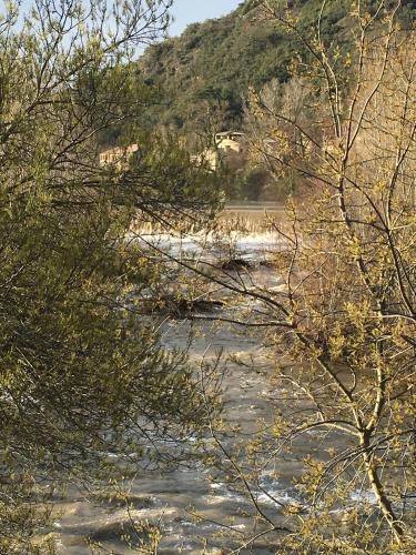 Lovely Limoux
