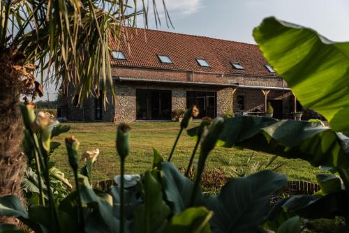 Au Petit Canteleu - Bed & Breakfast chambre d'hôte Stambruges