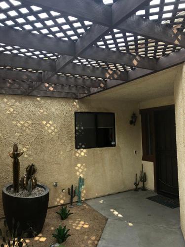 Desert Oasis