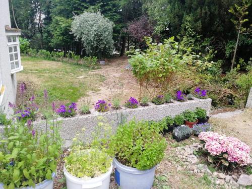 A szálláshely kívülről, Robinhill Garden in Forres