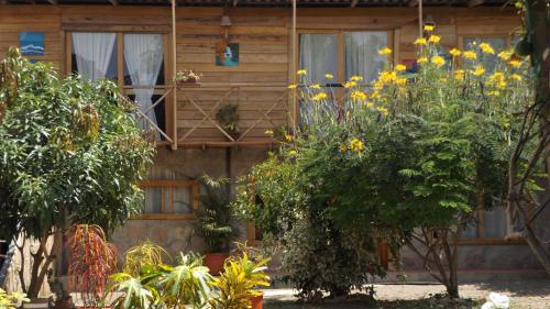 A szálláshely kívülről, Buganvilla Guest House in Santa Elena