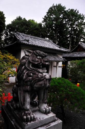 Villa image 10