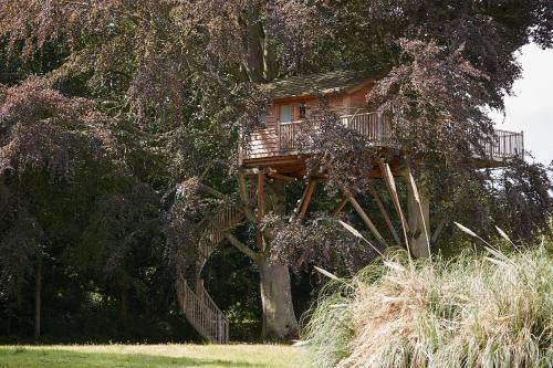 Casa en el árbol Deluxe