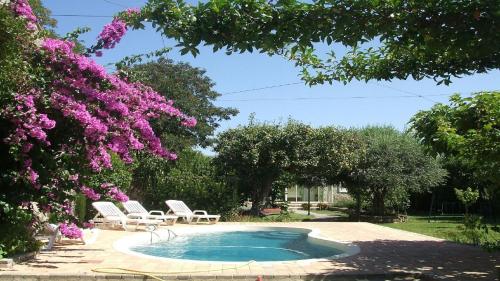 Villa La Milouyette - Accommodation - Peyriac-Minervois