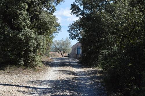 Ferme de Palumiane - Chambres climatisées