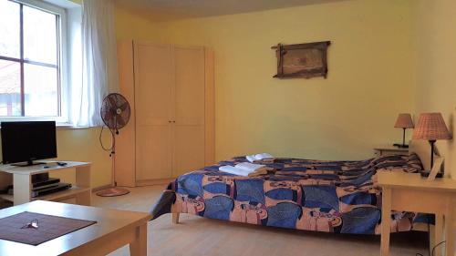Guest House Vasara - image 3