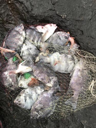 Zhuo jia jia ri hotel china