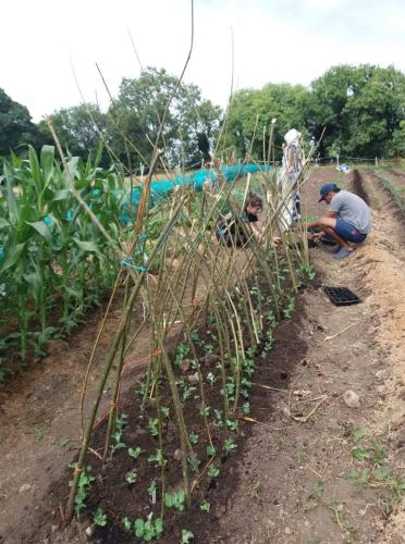 Castletownmoor Clinic & Permaculture Farm in Cavan