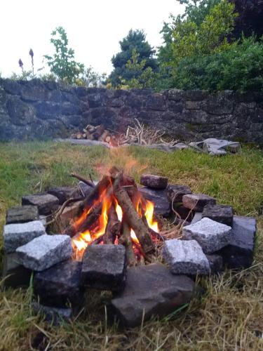 Castletownmoor Clinic & Permaculture Farm in Cavan