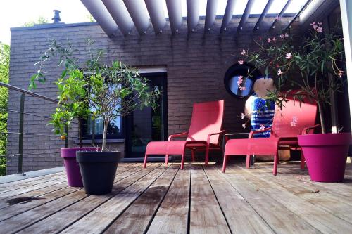  feeërieke boomhut in Oostmalle