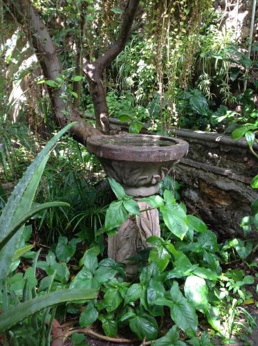 Garden, Ex Hacienda Hostal in Guanajuato