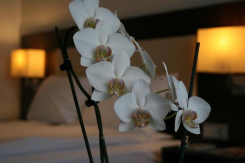 Family Room with Queen Bed