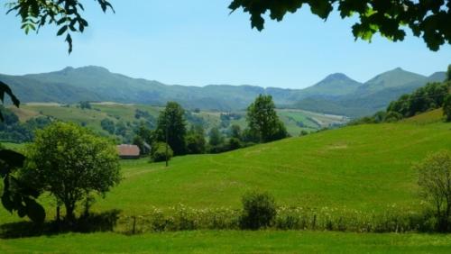 Naturessime Eco Village&Spa - image 5