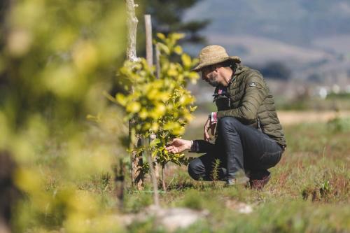 The Farmstead The Farmstead