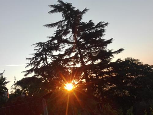 Skats, A1 Girasole B&B in Castelnuovo Di Porto