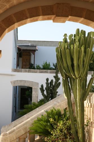 Masseria San Martino - image 13