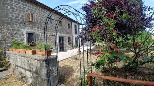 Accommodation in Montefiascone