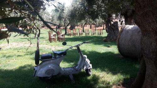 Masseria San Martino - image 7