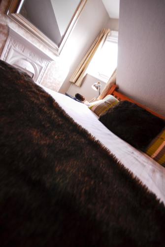 Kilmorey Lodge - image 10