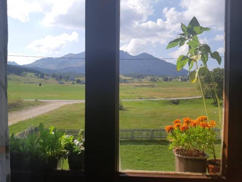 Kovcica Rooms
