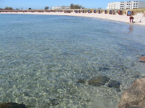Beach, Casa del Sol Stranddistelweg in Sudstrandpromenade