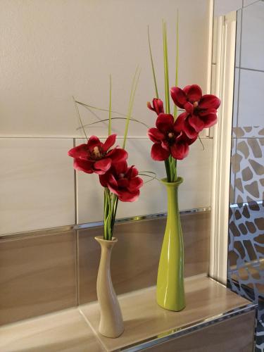 gapart - Apartments mit Kuche图片