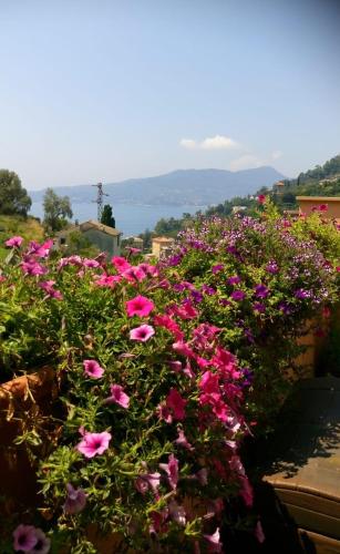  B&B Villetta le Rondini, Zoagli bei Santo Stefano dʼAveto