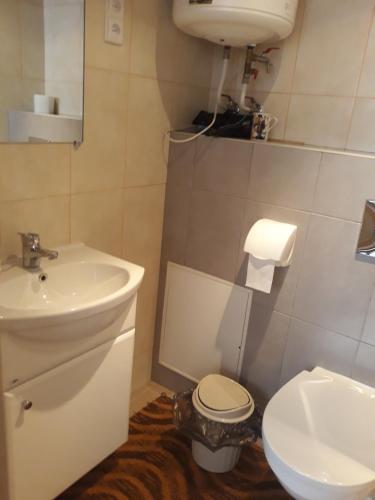 Alyvos in 伊格納利納