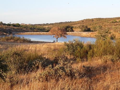Herdade dos Mestres - image 11