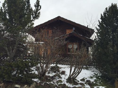 Chalet Pattier in Nendaz