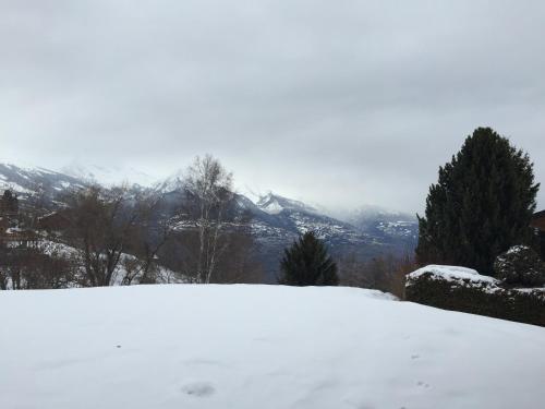 Vistas, Chalet Pattier in Nendaz