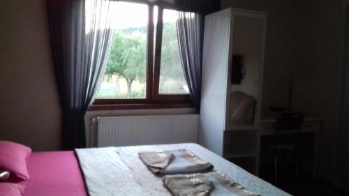  Abant Hayalim Pansiyon Restaurant in Ömerler