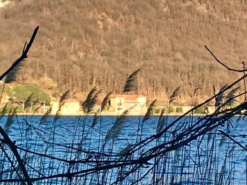 B&B Notte sul Lago chambre d'hôte Gozzano