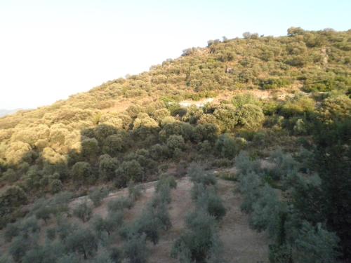 Hotel Sierra de Araceli Lucena - image 4