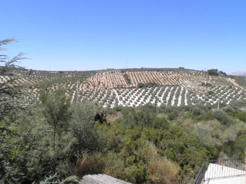 Hotel Sierra de Araceli Lucena - image 5