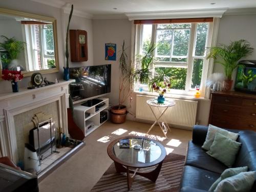 Stunning Retro Apartment in central Brighton