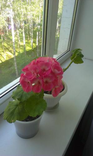 Apartment Chernihivska 13 - image 4
