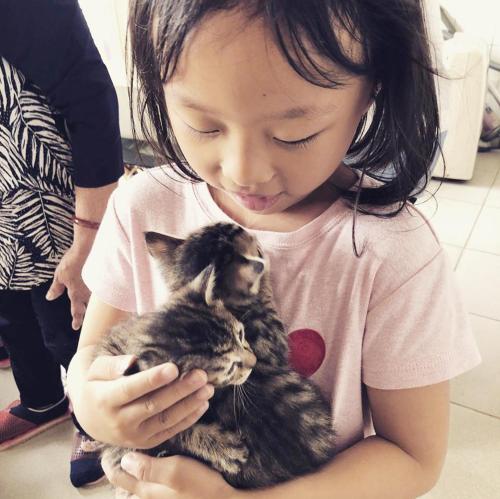 Meo-Woo Cat Travel b&b