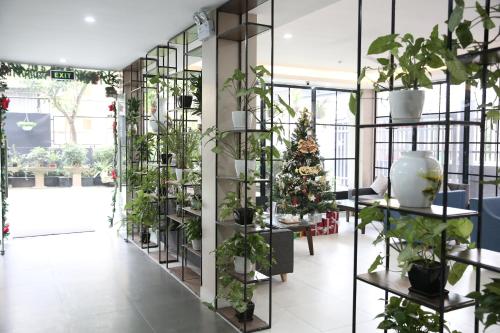 共用Lounge/電視區