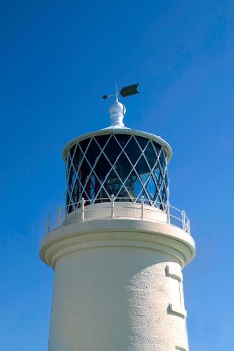 Marlborough Guest House B & B - image 7