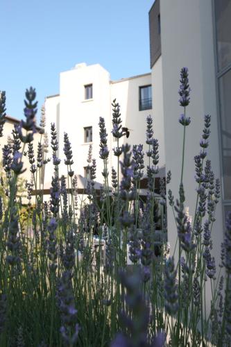 Hotel De France - image 24