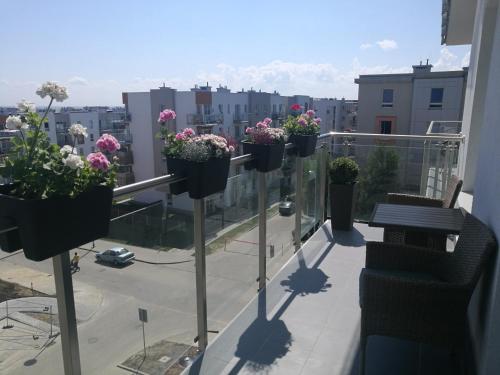 Varanda/terraço, Studio Słoneczne (Studio Sloneczne) in Ujescisko