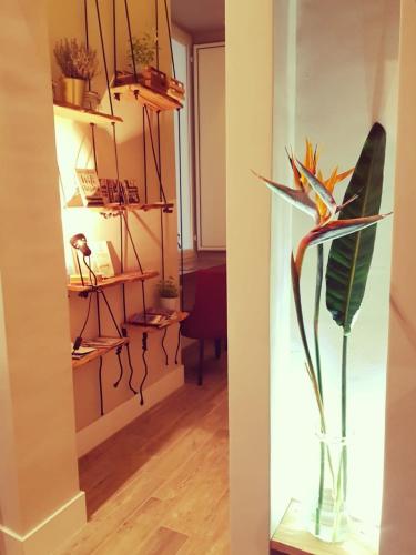 B&B NAPOLI AMORE MIO 4
