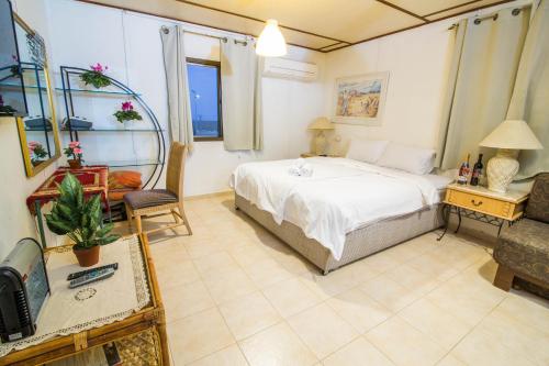 Hapinukim Shel Rozi in South Dead Sea