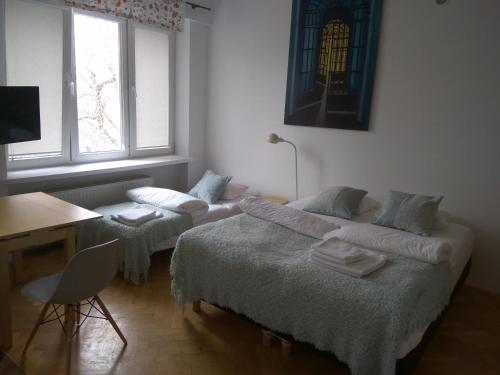 Studio Iwicka - image 2