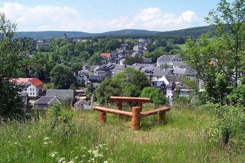 Gemütliche Ferienwohnung im Thüringer Wald, nahe des Rennsteigs - pure Erholung