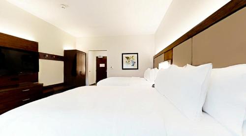 Holiday Inn Express & Suites - Chalmette - New Orleans S an IHG Hotel - image 3