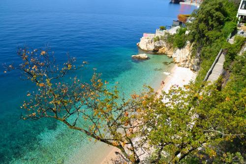 Apartment Antonija with seaview